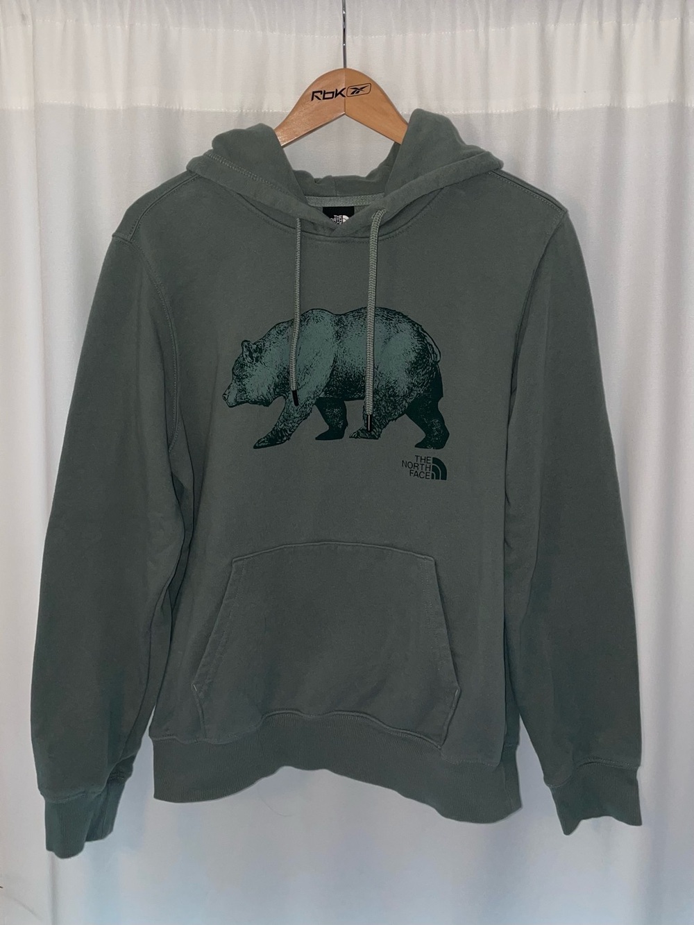 The North Face TNF bear hoodie green mens M medium sweatshirt pullover graphic
